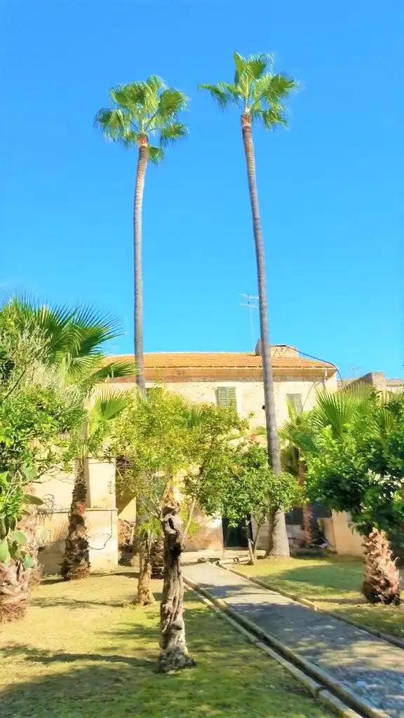 Villa avec jardin à vendre à Muro, imagen 32