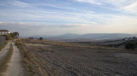 Foto 4 de Finca rústica en venda a Arcos de la Frontera, Cádiz