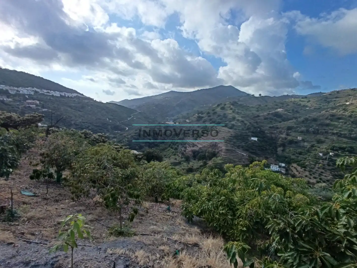 Terreny rústic en venda a Sayalonga, imagen 5