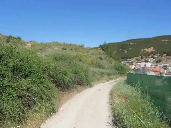 Rural land for sale in Ur Paraje San Antonio, imagen 8