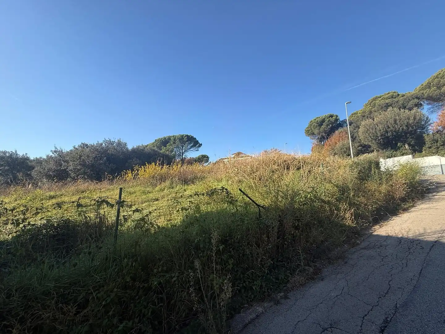 Terrenos y solares en venta en TORRE MALLA, imagen 2