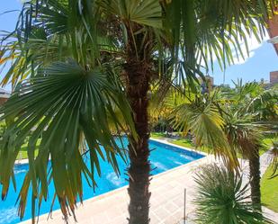 Piscina de Pis en venda en Majadahonda amb Terrassa