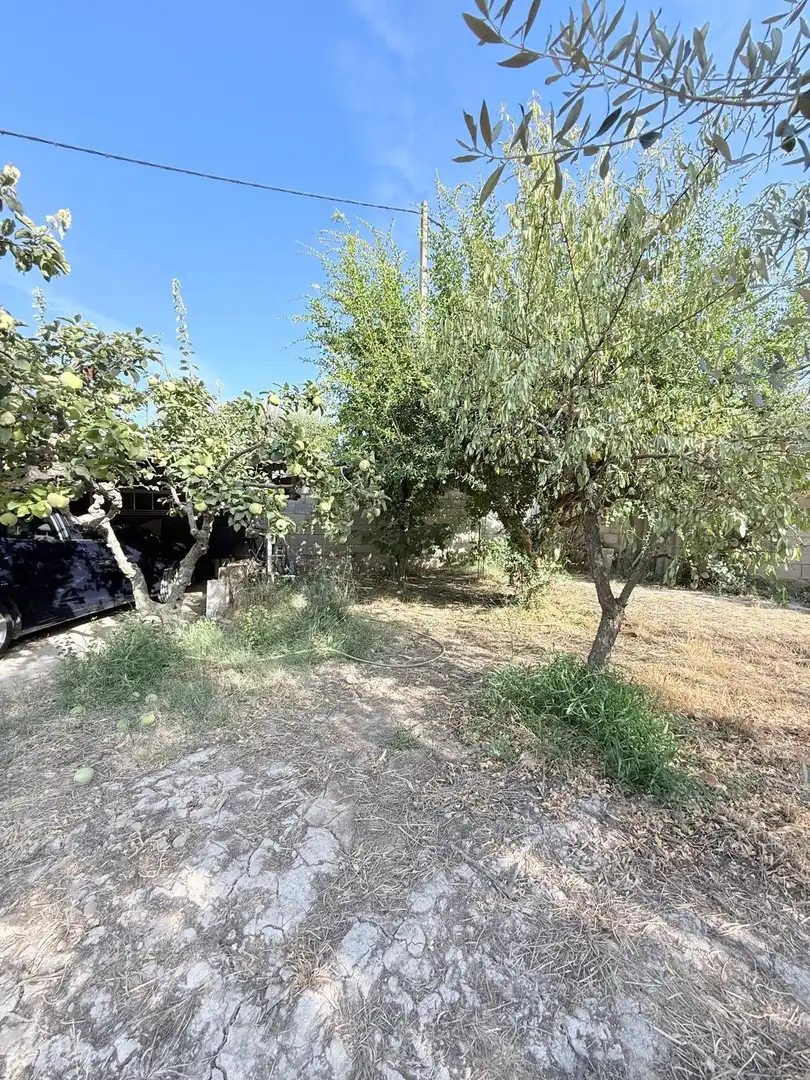 Terrain rustique à vendre à Cadrete, imagen 17