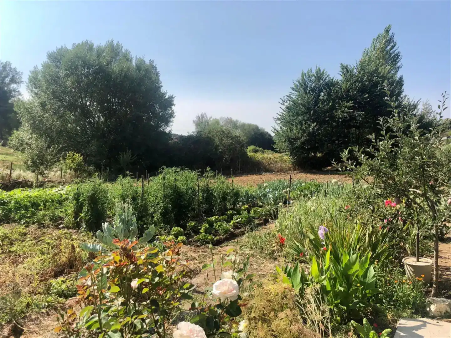 Detached homes for sale in Alcañices  with Private garden, Parquet flooring and Storage room