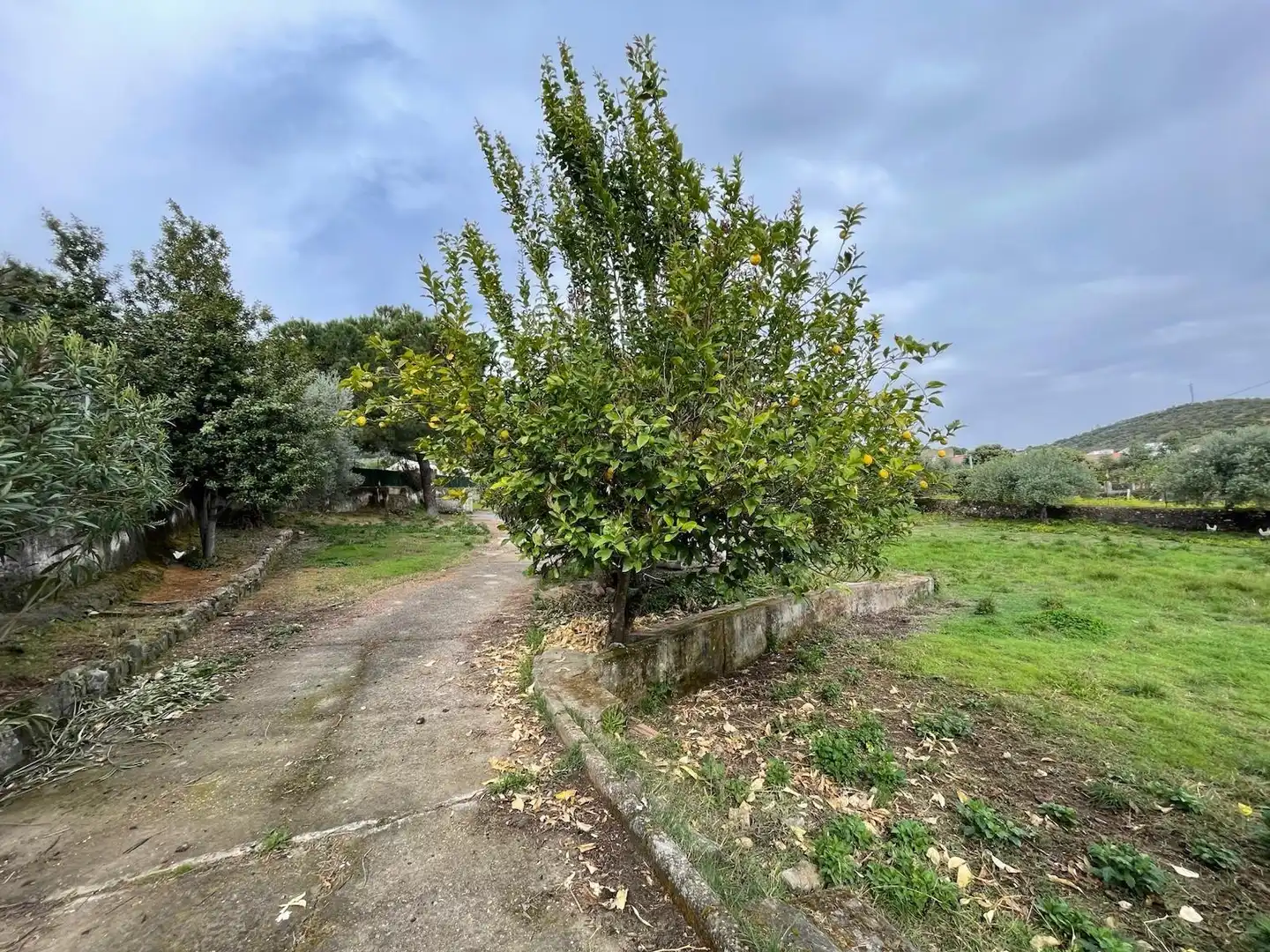 Casa en venda a Sierra de Fuentes, imagen 23