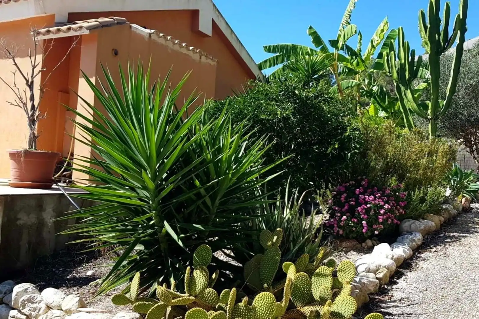 Jardín de Casa o chalet en venta en Xirles