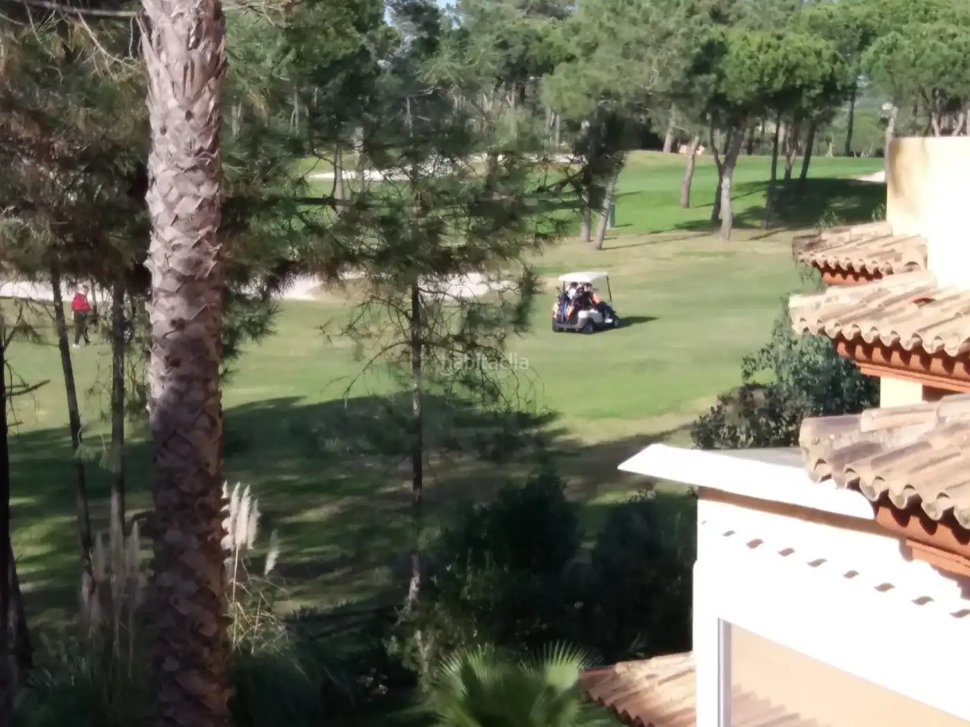 Piso con piscina en alquiler en Paseo de la Torre del Catalán 13, imagen 13