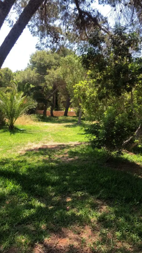 Casa o xalet en venda a Cap Martinet