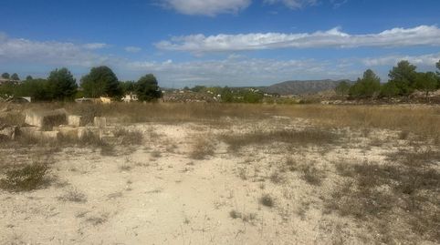 Terreno Rural Agrario de 13.000 m2 en Beties  Monóvar, immagine 3