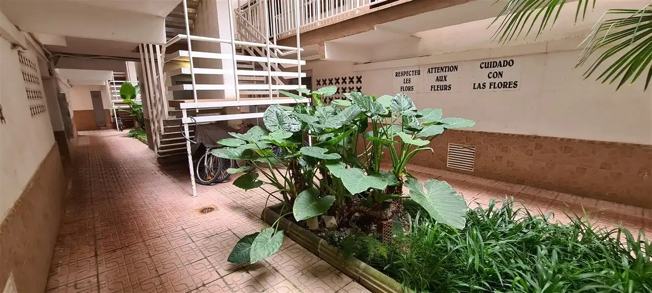 Apartament amb terrassa de lloguer a Regueral - Prat d'en Forés, imagen 33
