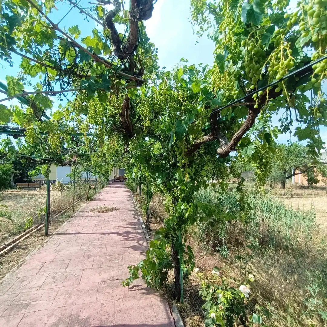 Terreny residencial en venda a Mejorada del Campo, imagen 17