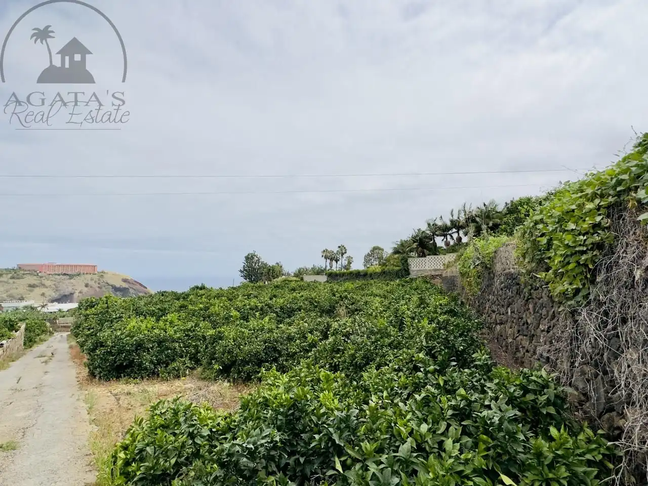 Finca rústica en venta en La Orotava con Jardín privado y Terraza