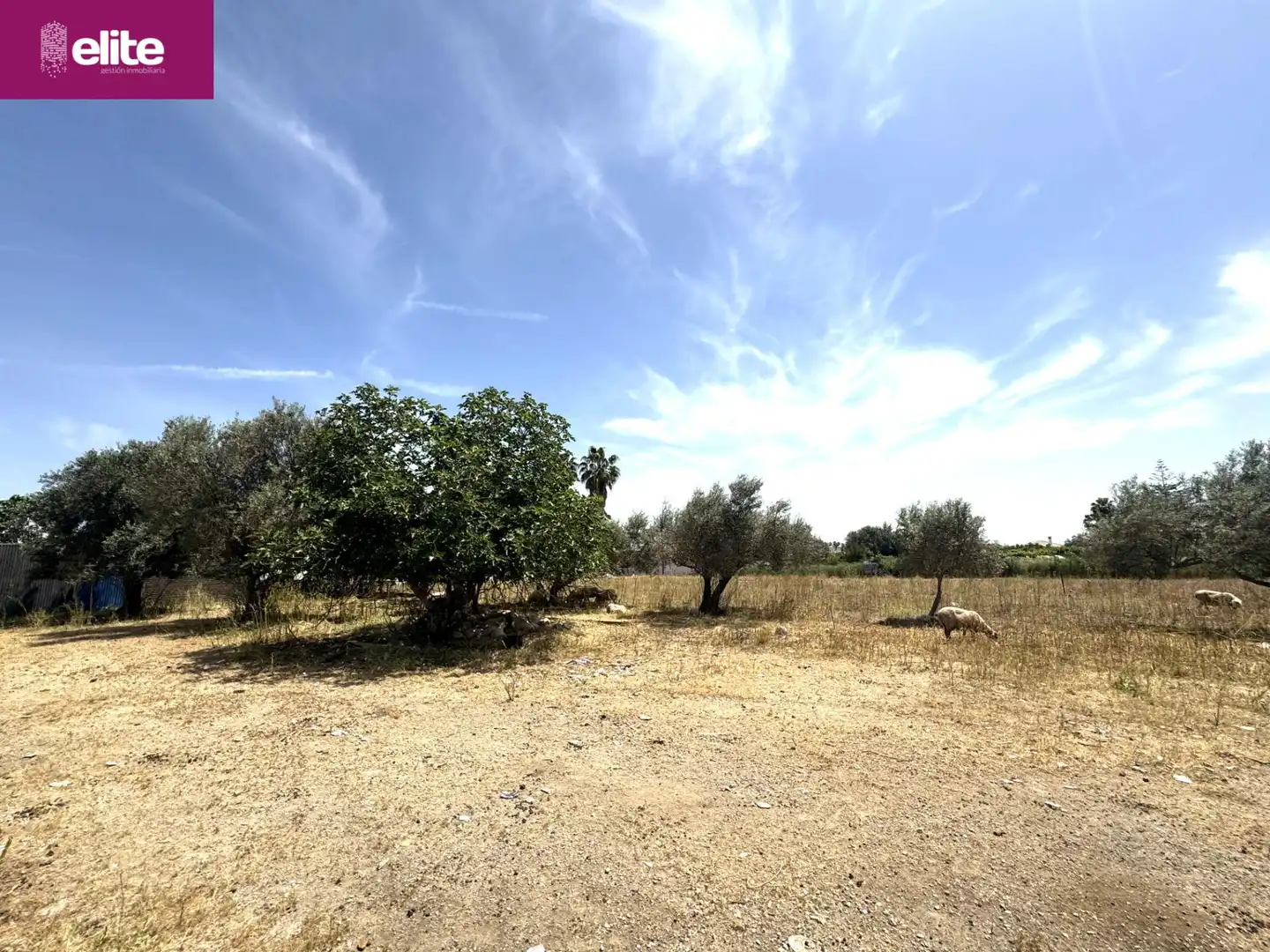 Residential for sale in Pozoalbero