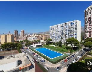 Flat to rent in Juzgados - Plaza de Toros