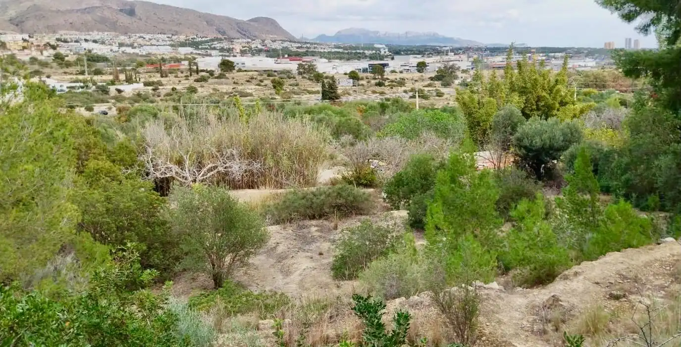 Terreno rustico in vendita a Platja de Torres, imagen 4