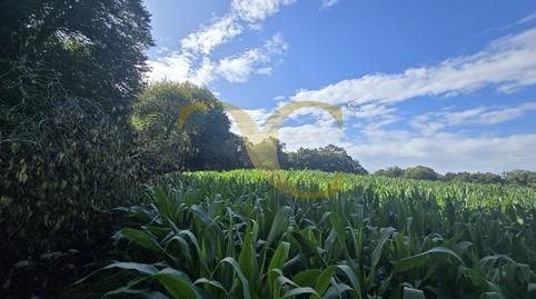 Photo 2 of Residential for sale in Cardoso, Pría - Nueva-Hontoria - Naves, Asturias
