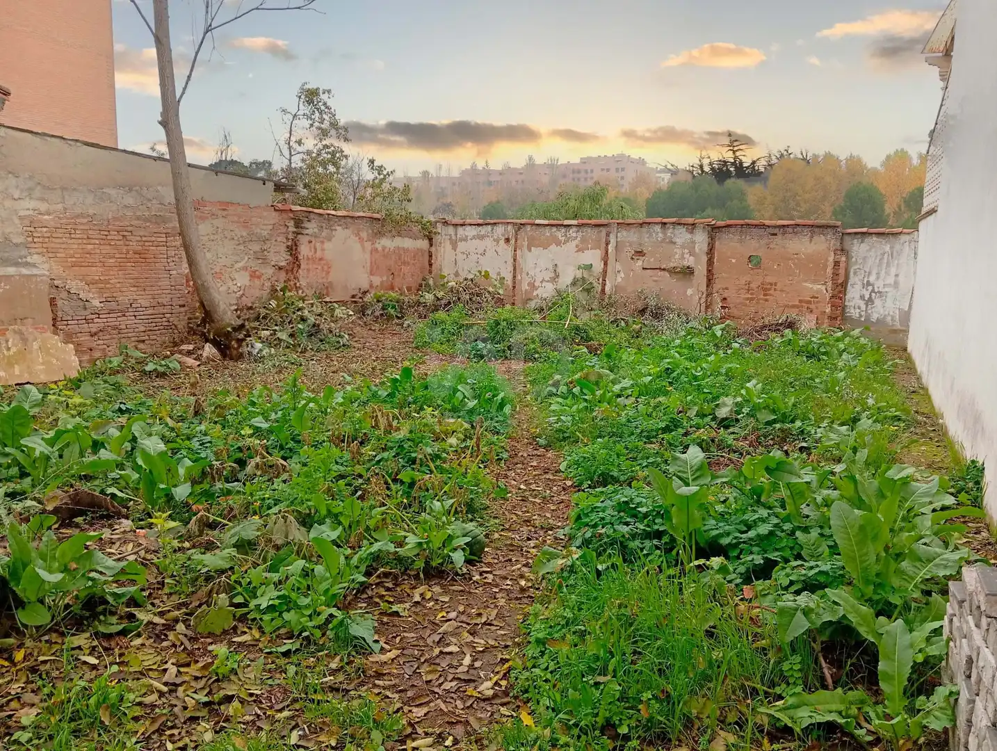 Casa o chalet en venta en Guadalajara con Calefacción