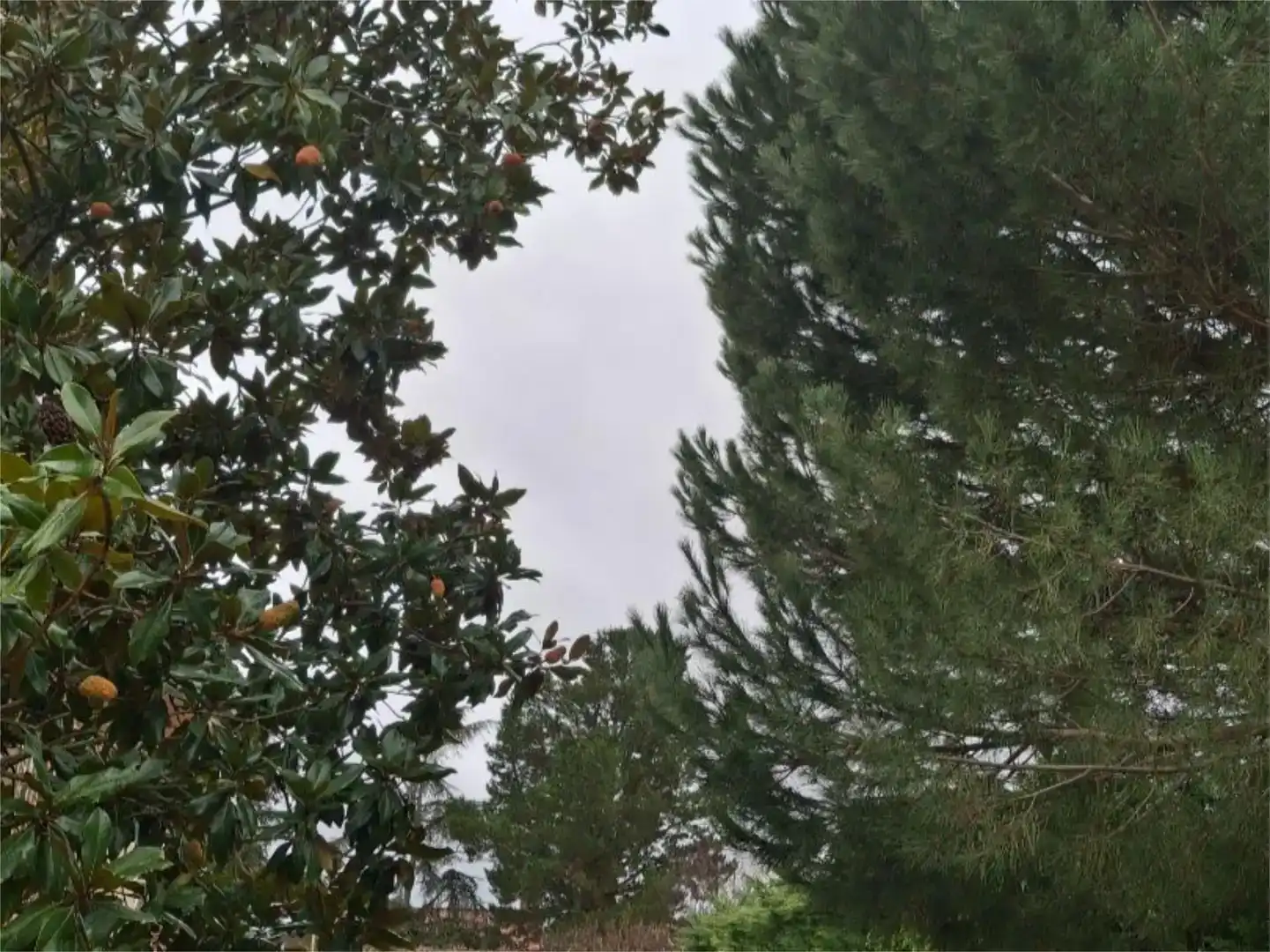 Vista exterior de Casa o xalet en venda en Palazuelos de Eresma amb Aire condicionat, Piscina i Balcó