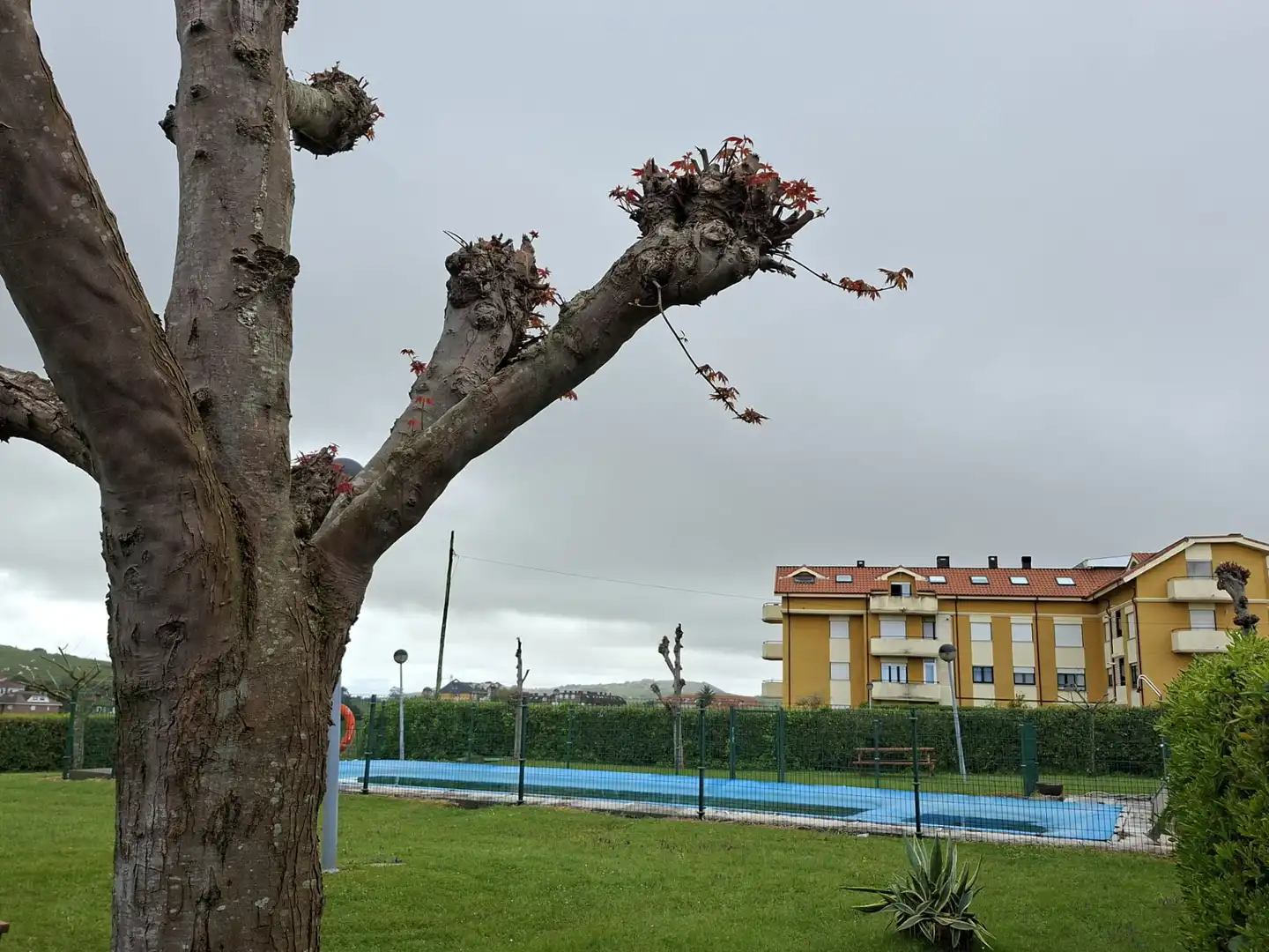 Jardín de Piso en venta en Suances con Calefacción, Terraza y Amueblado