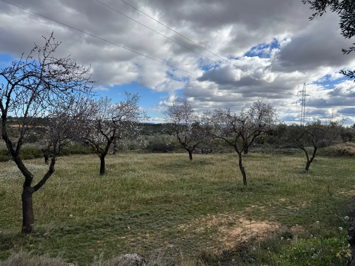 Terreni e lotti in vendita a Valjunquera, imagen 17