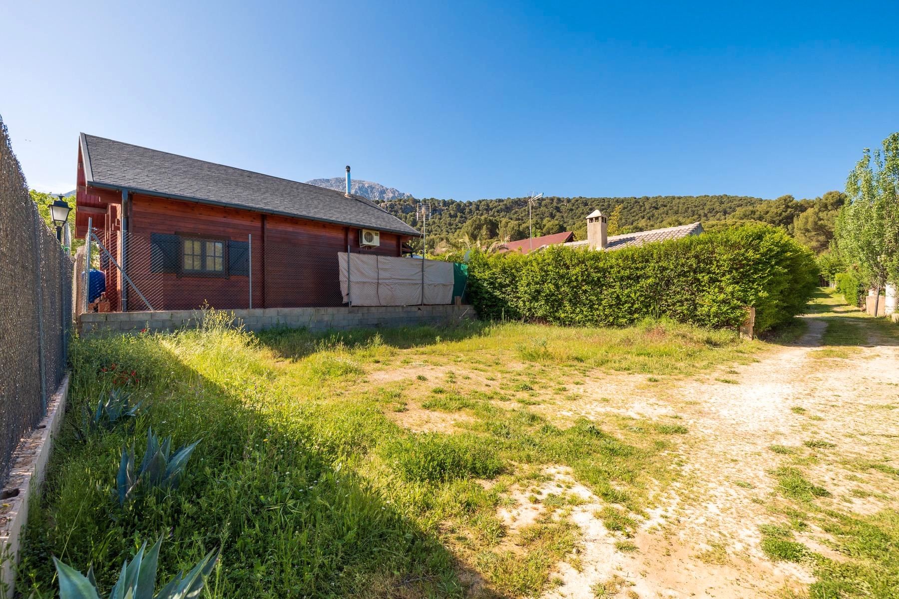 Garden of Land for sale in Iznalloz