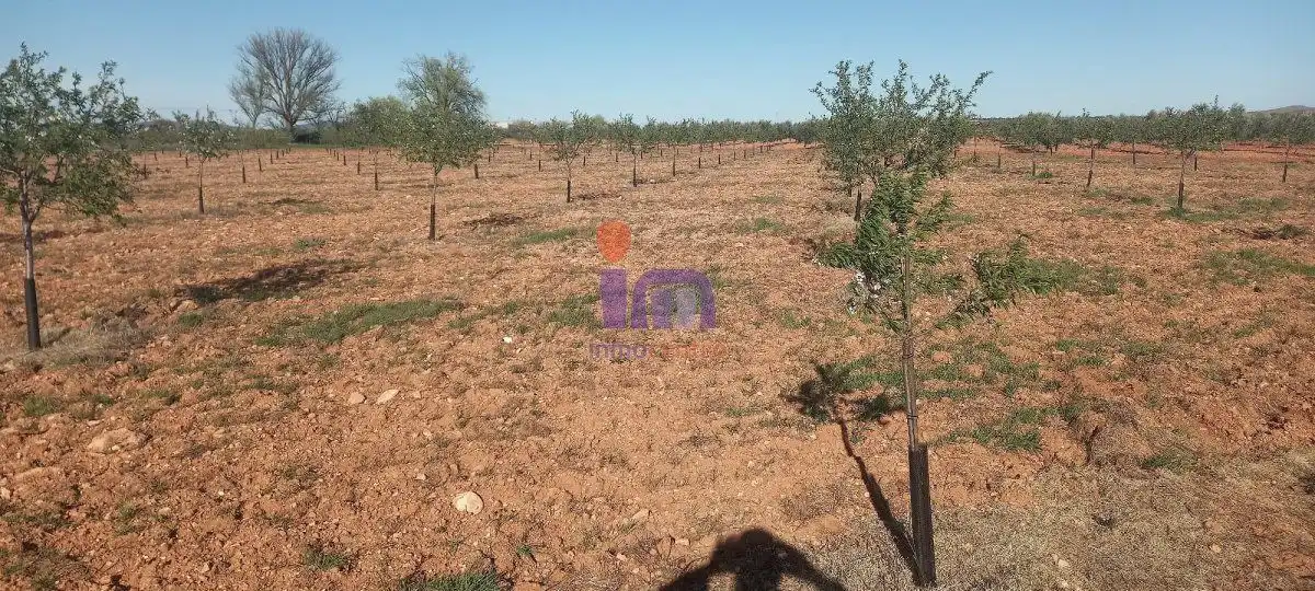 Finca rústica en venda en Valdepeñas