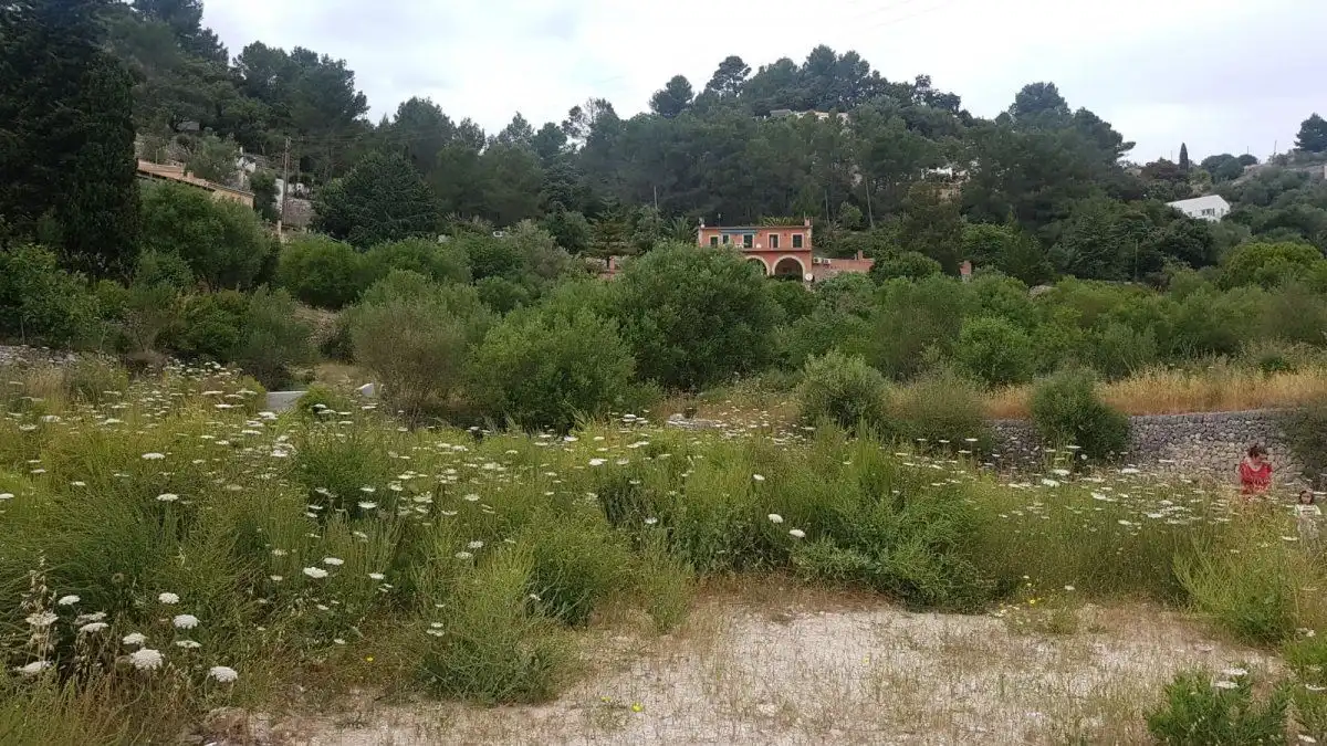 Se vende solar en Galilea con proyecto para vivienda, imatge 2