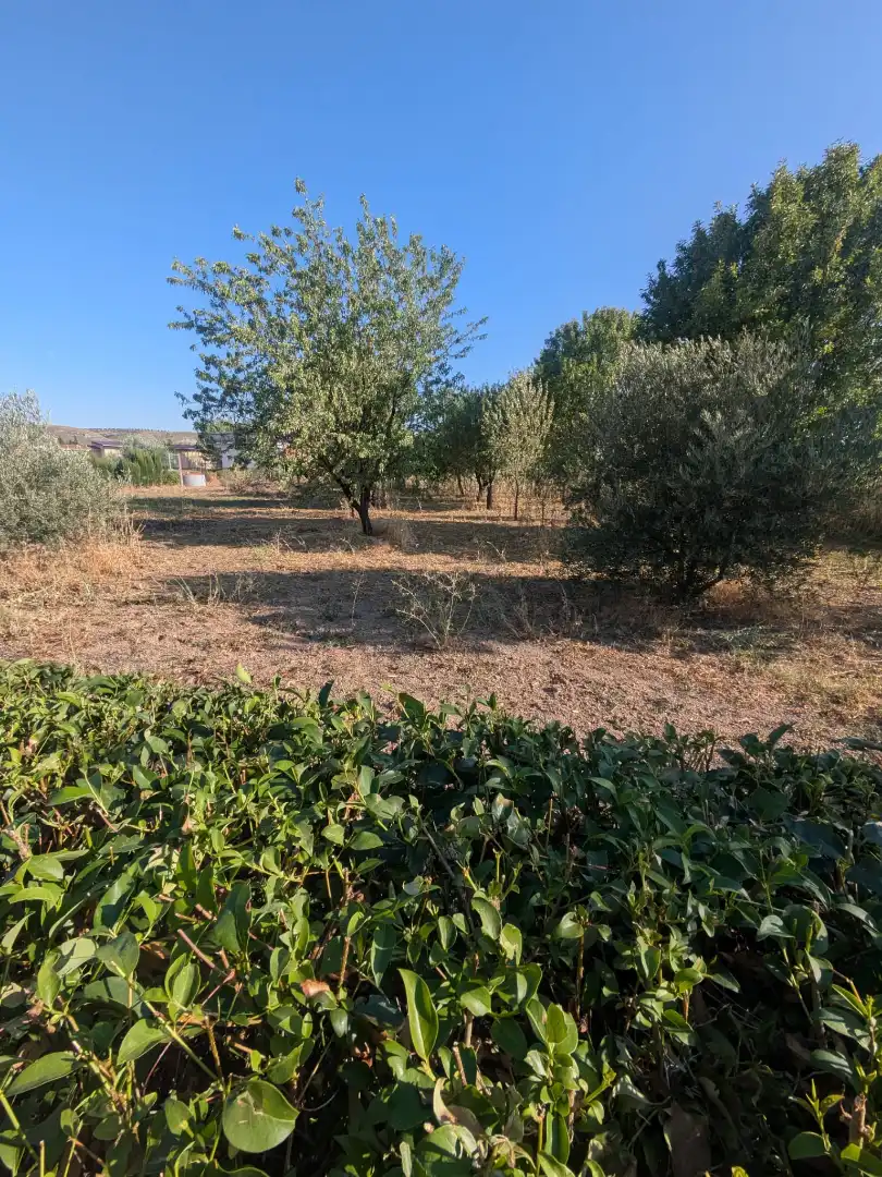 Finca rústica en venda en Morata de Tajuña amb Calefacció i Moblat