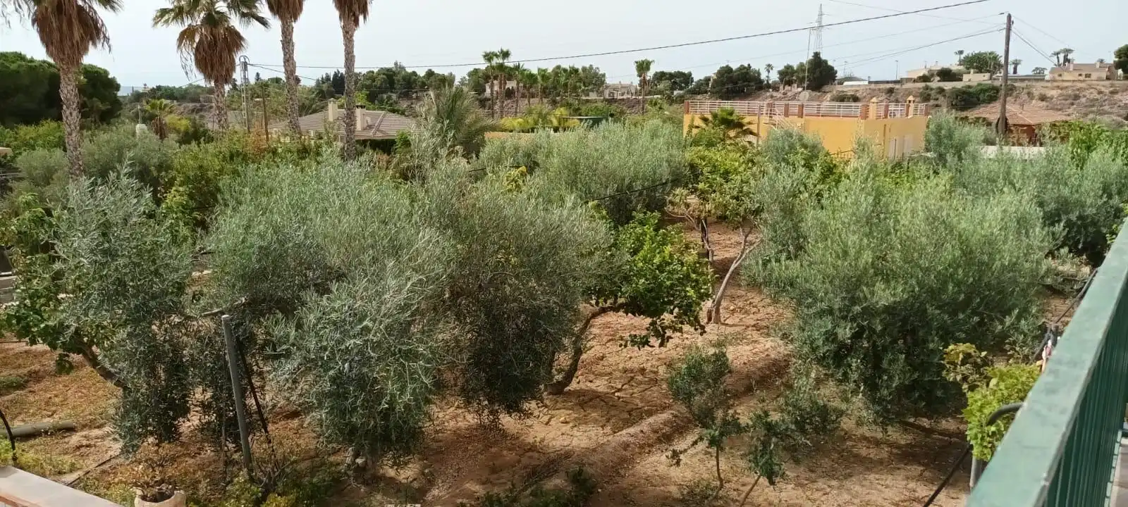 Houses for sale in Elche / Elx  with Private garden, Terrace and Storage room