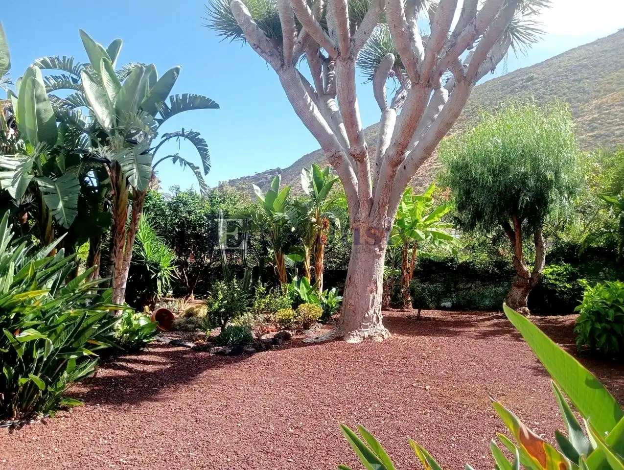 Garden of Houses for sale in La Orotava  with Air Conditioner, Private garden and Terrace