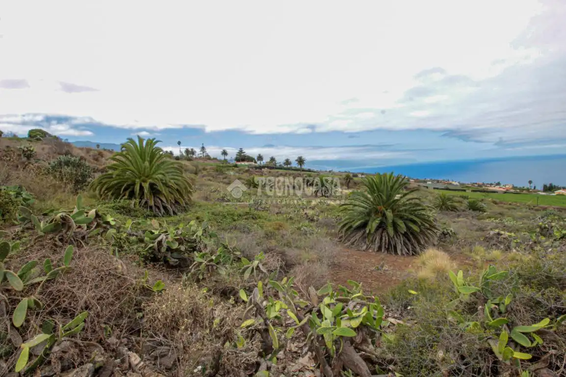 Terreno en venta en El Pris - Juan Fernández