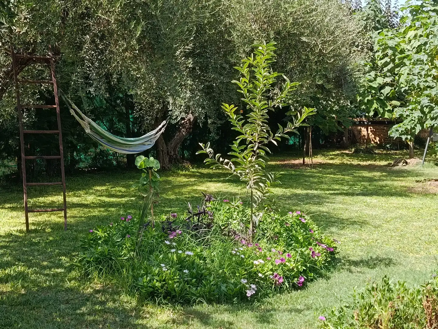 Villa avec piscine à louer à Urbanizacion el Campillo, imagen 61