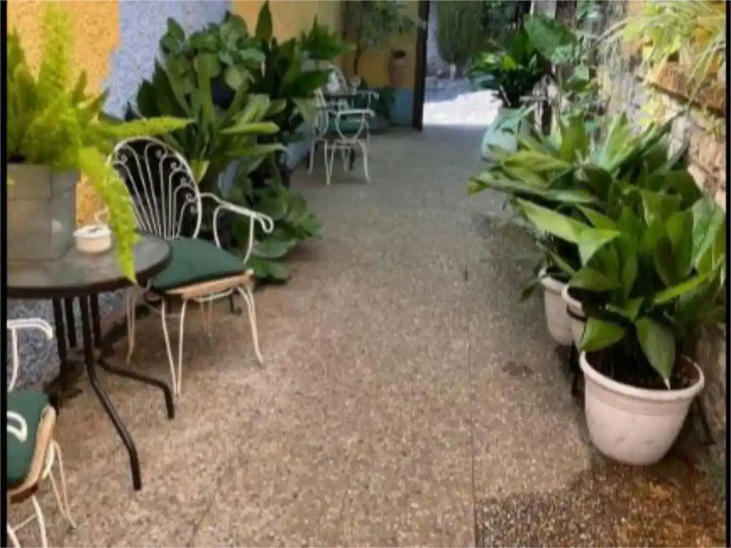 Terraza de Local en venta en Patones