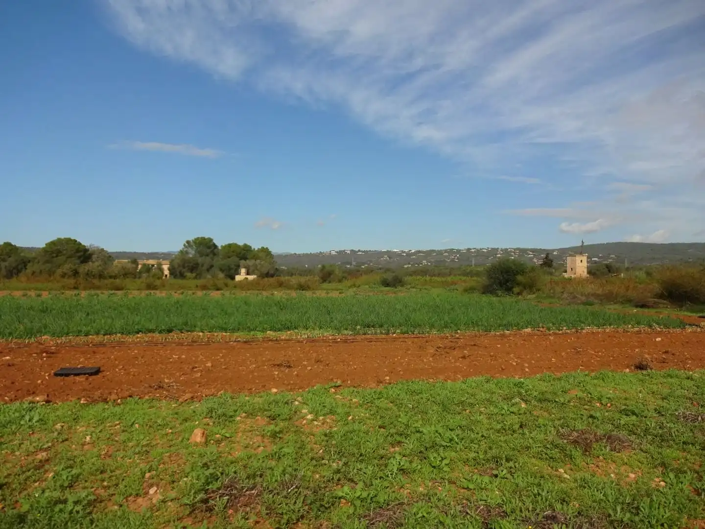 Finca rústica en venta en  Palma de Mallorca