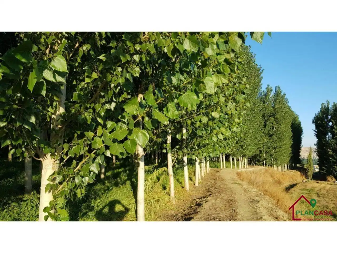 Exterior view of Land for sale in Purullena