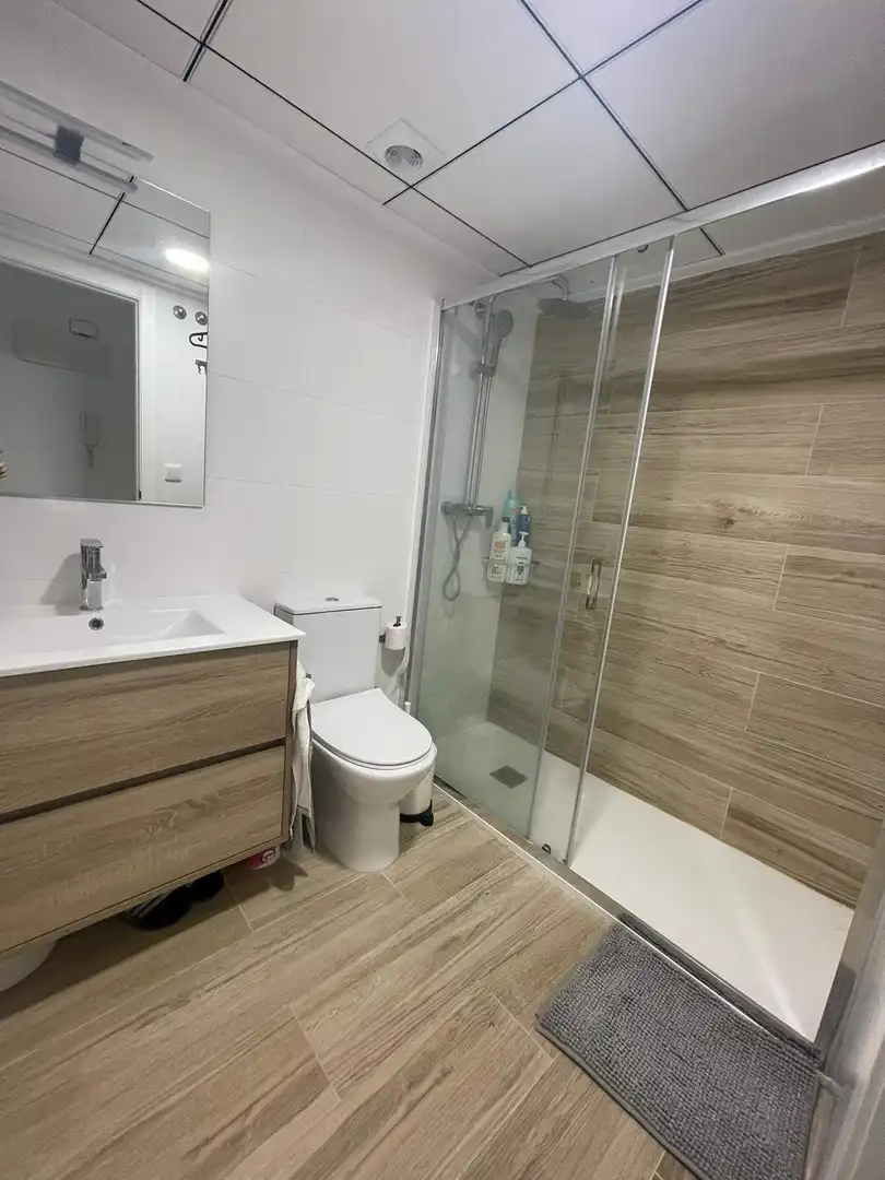 Estudio de alquiler en Elche / Elx, Alicante