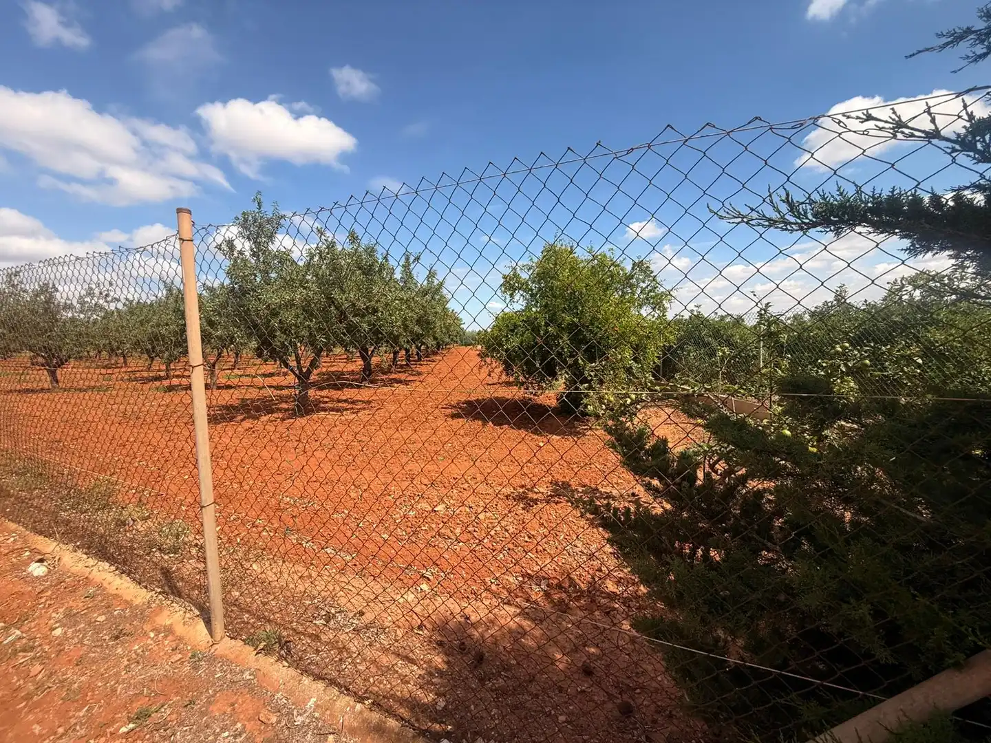 Finca rústica en venda en Cartagena amb Aire condicionat, Terrassa i Traster