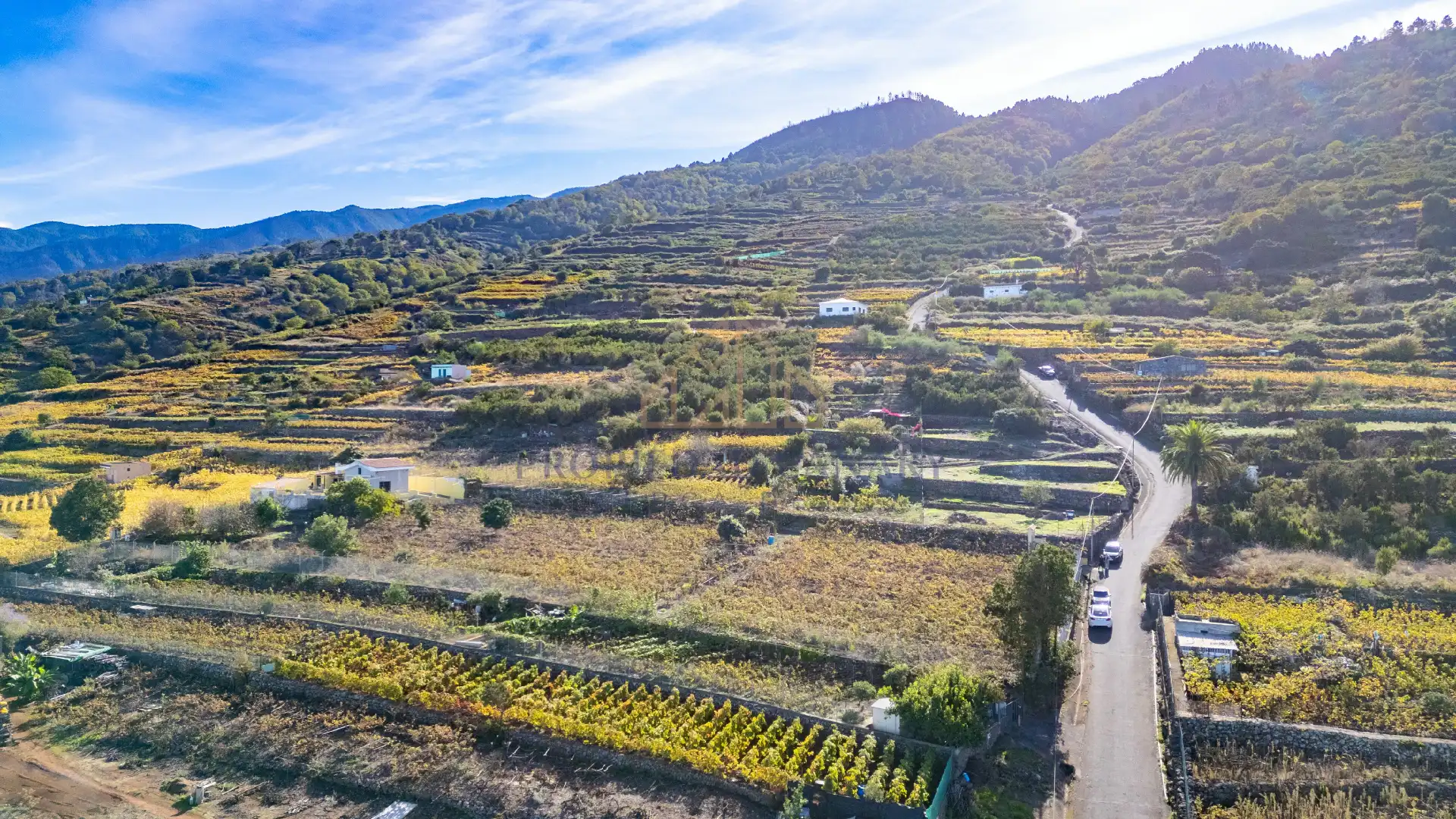 Finca rústica en venda en Santa Úrsula amb Terrassa