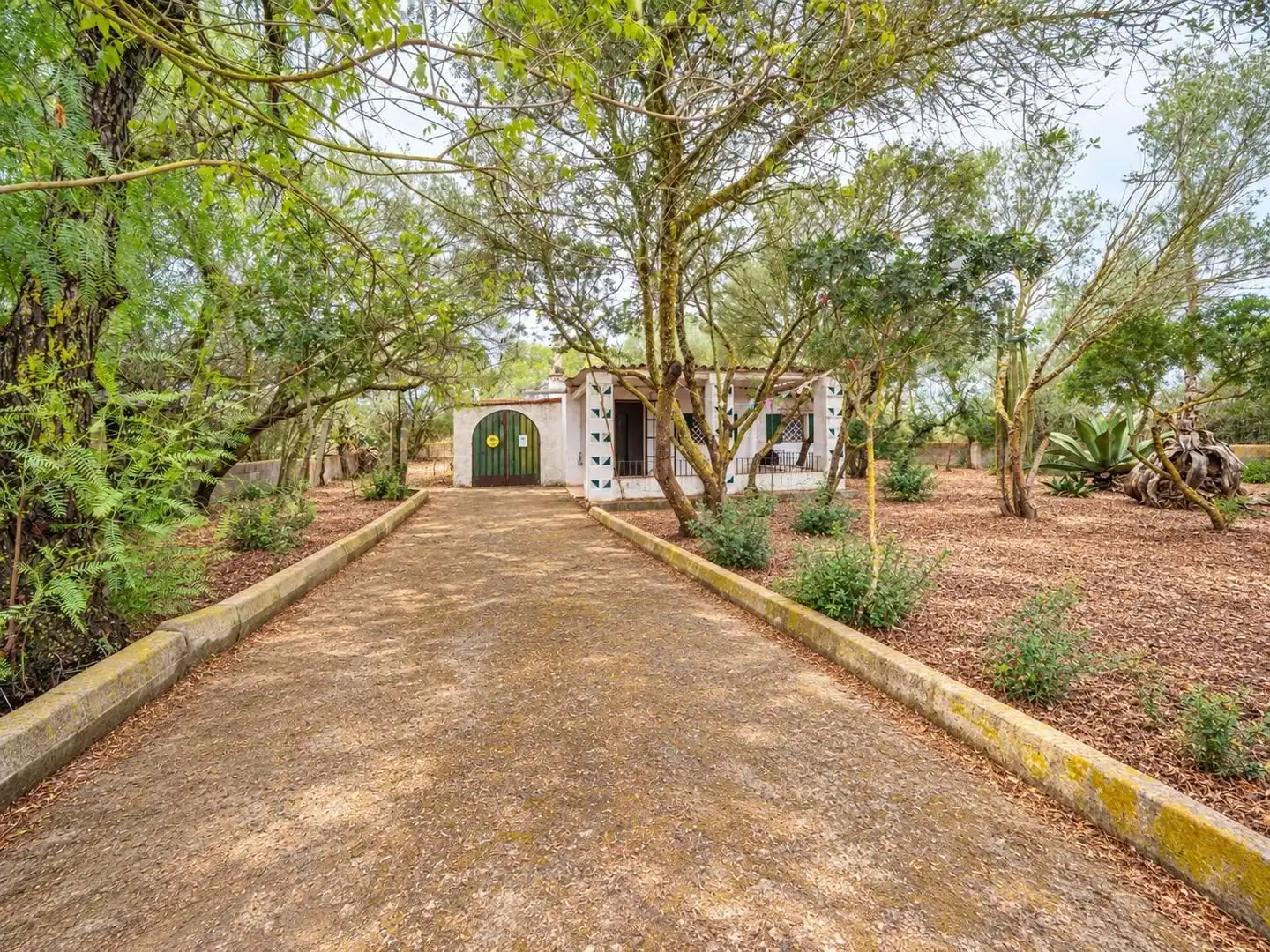 Casa rústica amb jardí en venda a Ctra Palma- Porto Petro, imagen 2