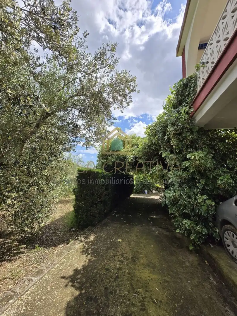 Xalet amb piscina en venda a POLIGONO 15, PARCELA 295, EL RINCON 0, imagen 69