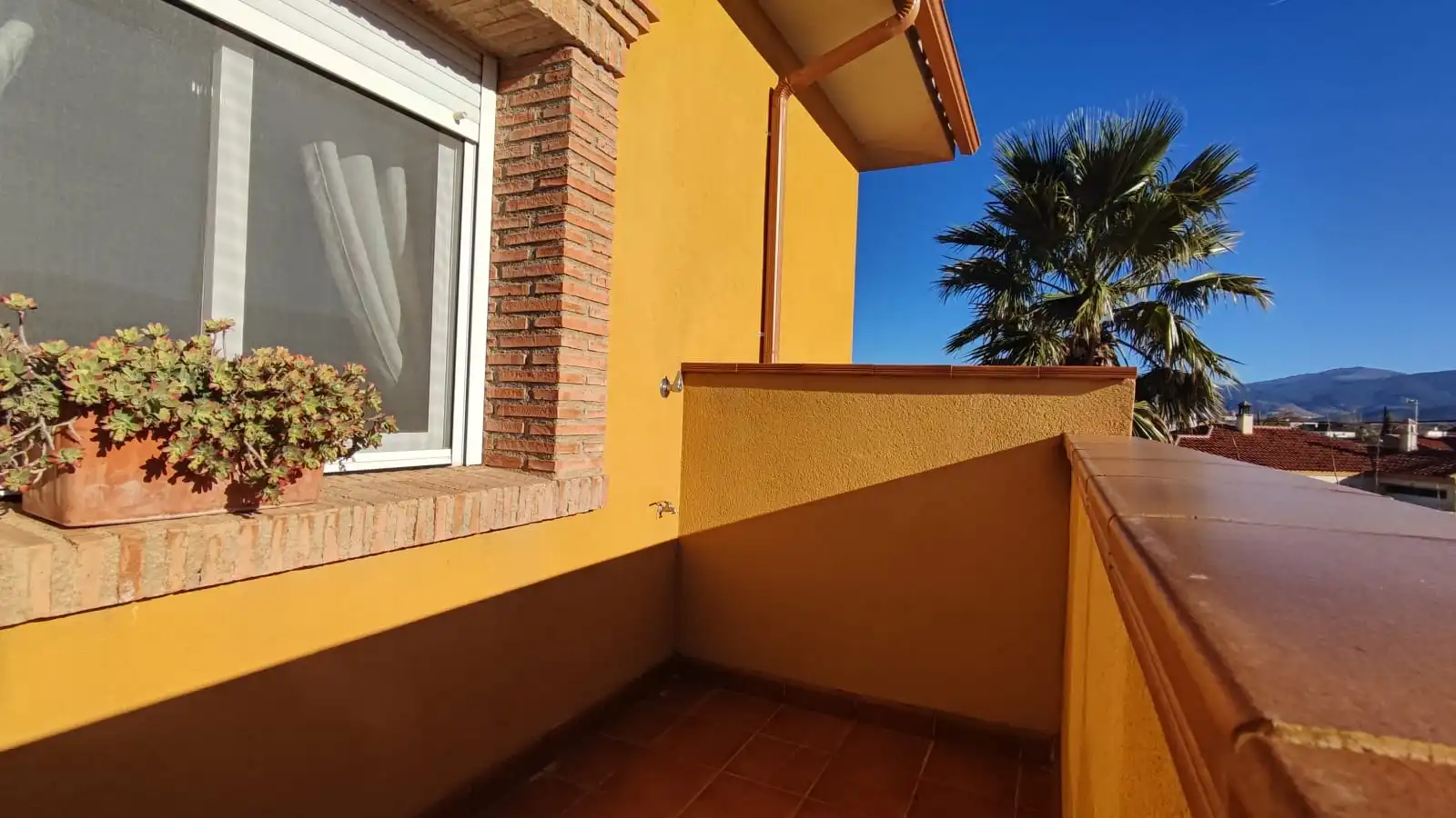 Vista exterior de Casa o chalet en venta en Cogollos de Guadix con Aire acondicionado, Jardín privado y Terraza