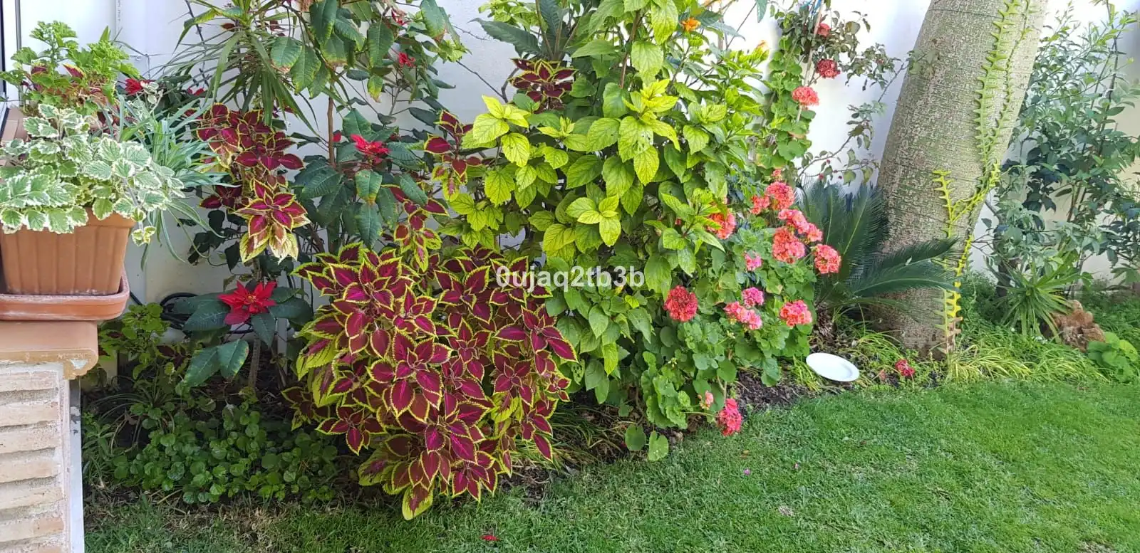 Villa mit Terrasse zum Verkauf in Avenida de las Palmeras 1, imagen 27
