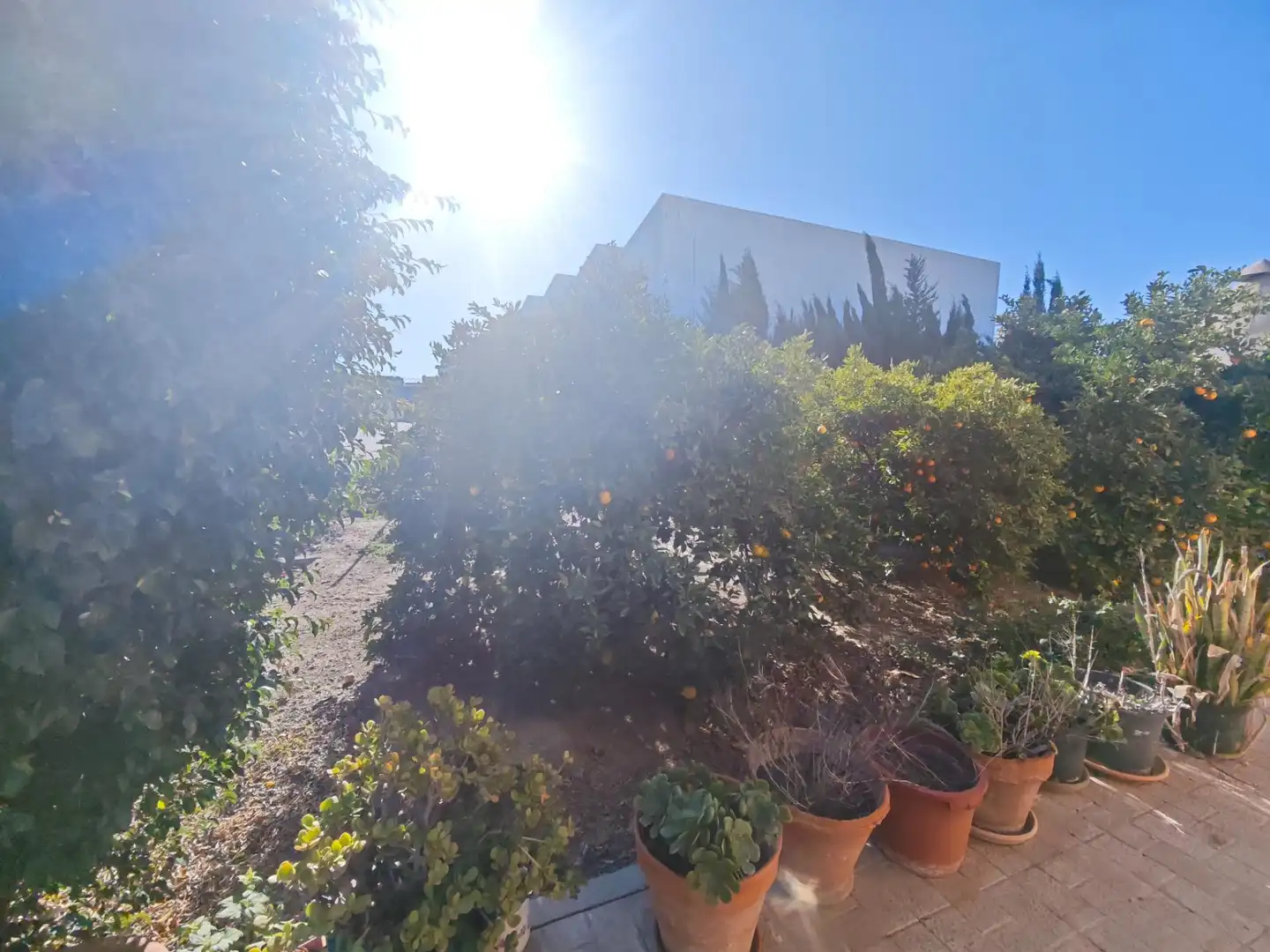 Garden of Houses for sale in Murcia  with Terrace