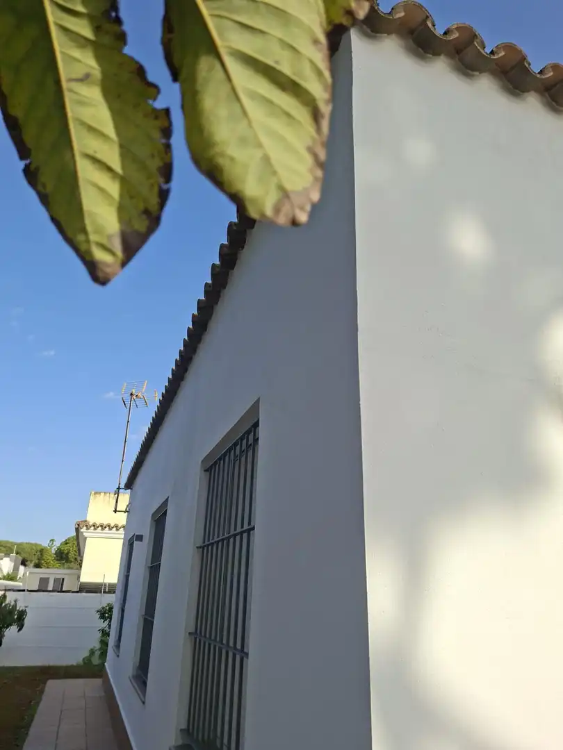 Vista exterior de Casa o xalet en venda en Chiclana de la Frontera amb Jardí privat