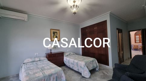 Foto 4 de Casa o chalet de alquiler en Mairena del Alcor, Sevilla