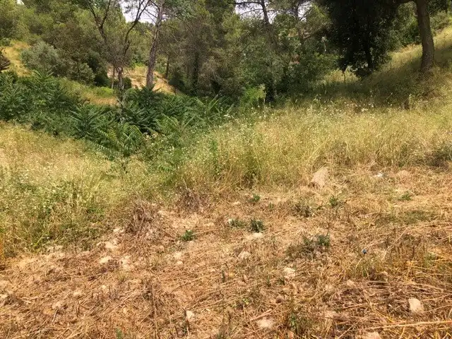 Terreno residenziale in vendita a Sud, imagen 6