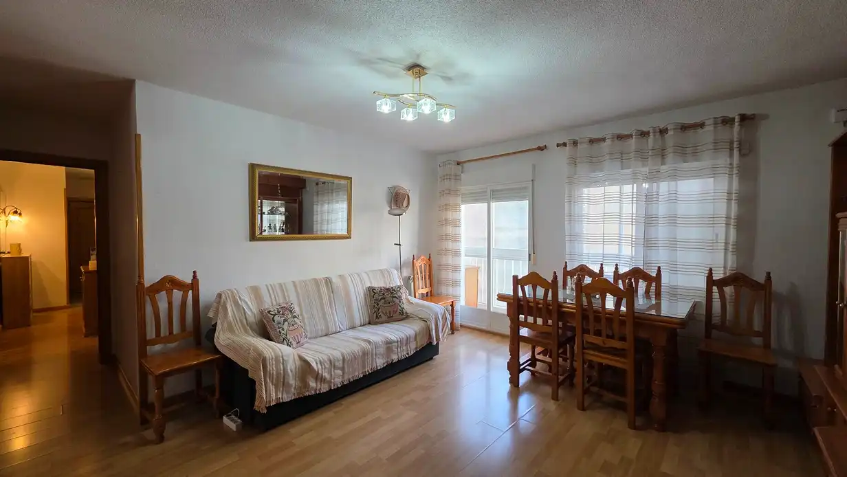 Living room of Flat for rent in Madrid  with Heating, Terrace and Furnished