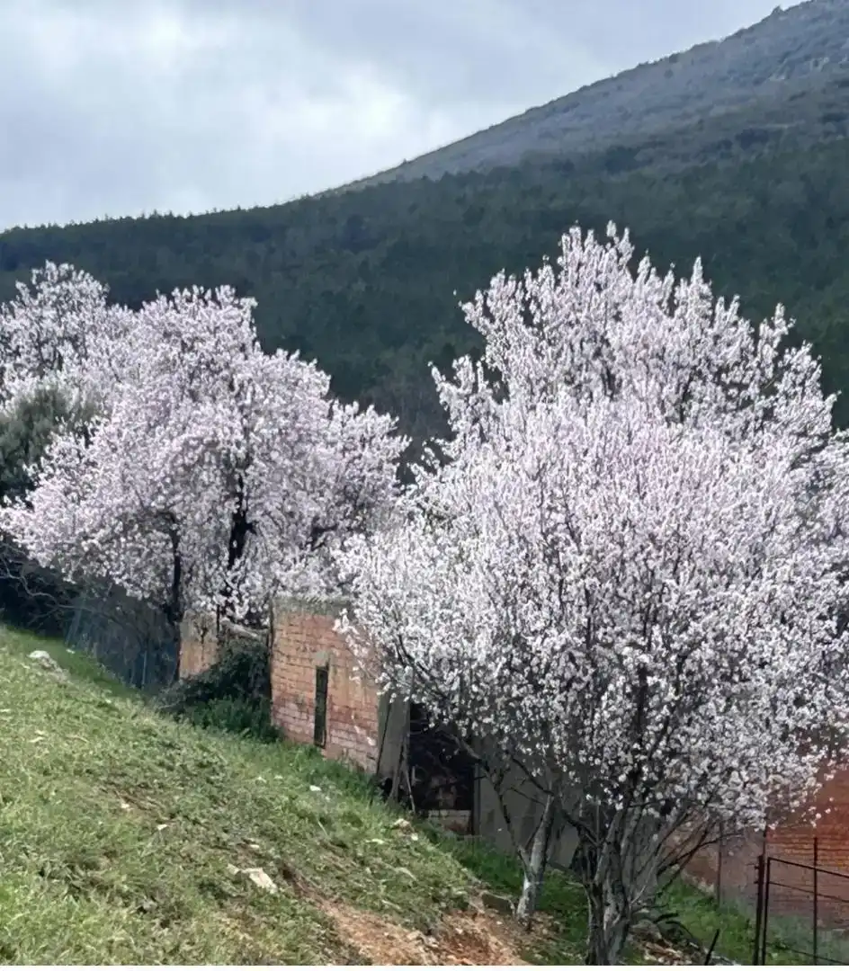 Jardí de Finca rústica en venda en Navahermosa amb Moblat
