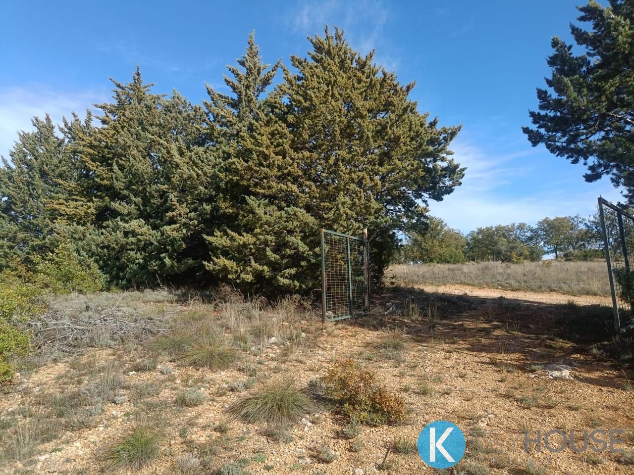Land for sale in Pastrana