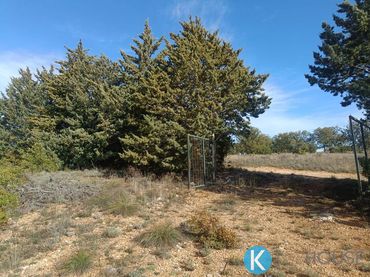 Terreno rústico en venta en PJ MONTE LOS CORTIJOS